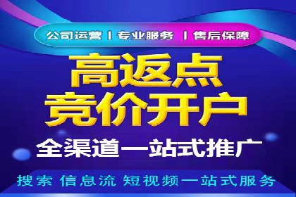 某电商平台的SEM推广实践与效果展示
